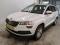 preview Skoda Karoq #0
