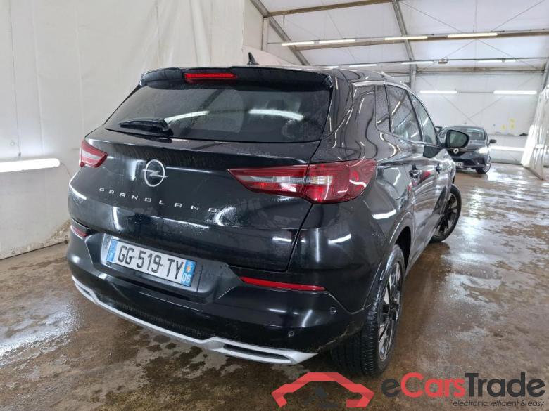 Grandland X Elegance Business 1.5 130CV BVA8 E6d #3