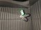 preview Peugeot 208 #3
