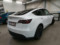 preview Tesla Model Y #1
