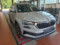 preview Skoda Karoq #1