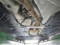 preview Mercedes C 200 #4