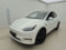 preview Tesla Model Y #0