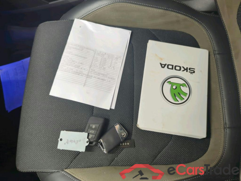 Kodiaq Style 2.0 TDI 110KW AT7 E6d #3