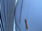 preview Ford Transit Custom #2
