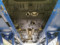 preview Opel Corsa #4