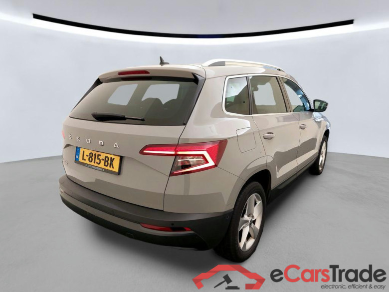 SKODA Karoq 110 kW #6