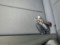 preview Audi A3 #5